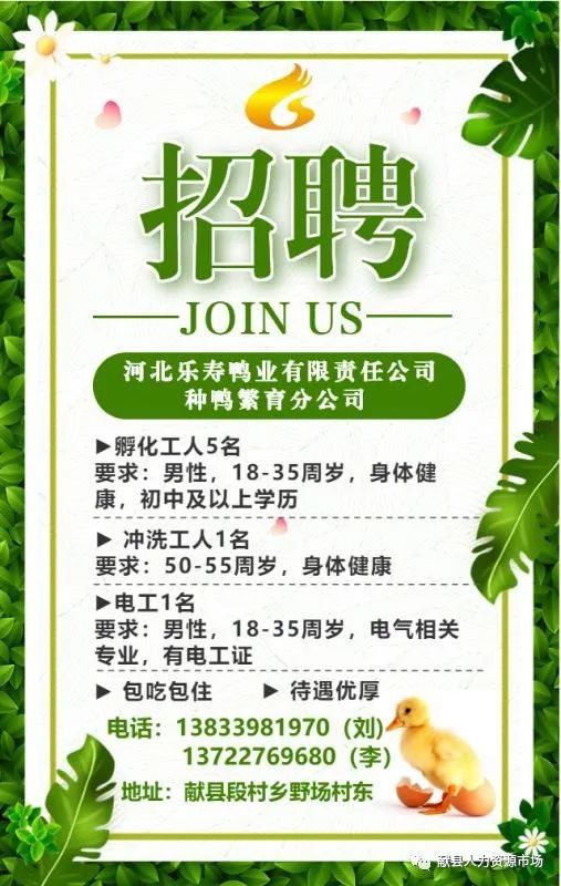 英么德最新招聘啟事，小蟲(chóng)網(wǎng)人才招募之旅